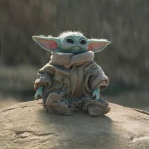 Meet your Posher, Todd